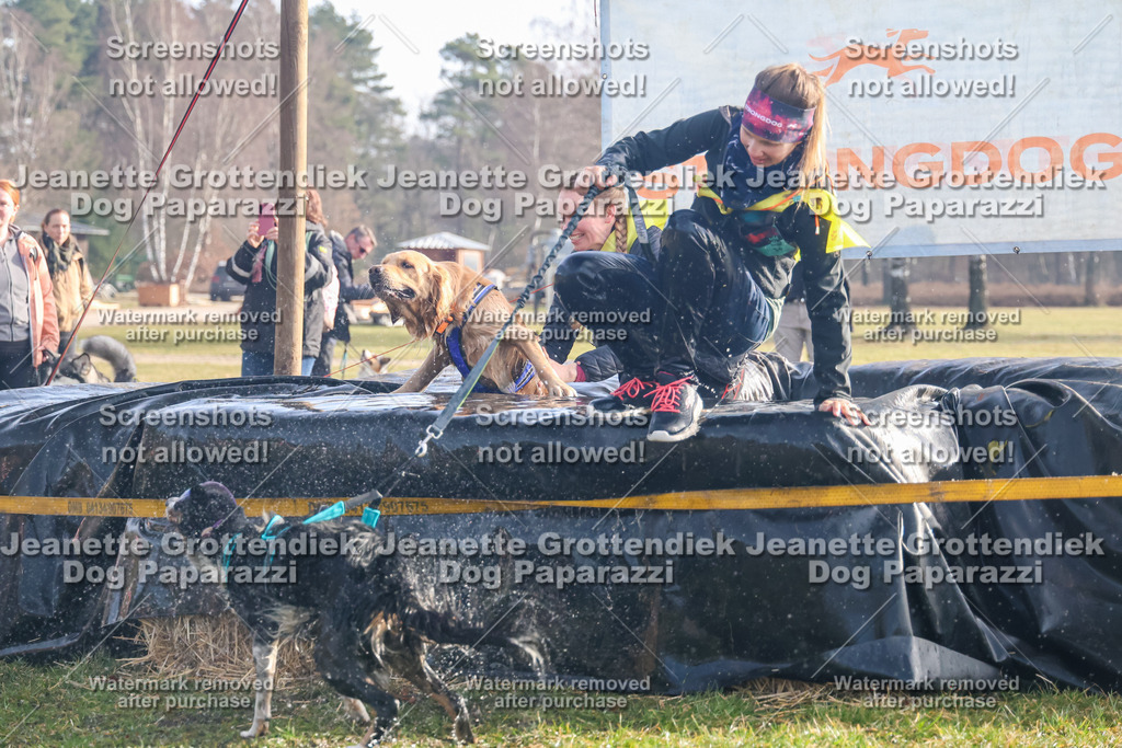 Dog Paparazzi - Strongdog North Mrz26-172 | Dog Paparazzi Jeanette Grottendiek Fotografie & Videografie - Realisiert mit Pictrs.com