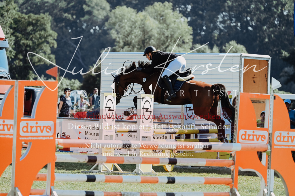 DSC_5798 | Pferde- und Turnierfotografie in Westsachsen. Pferdeportraits, Auftragszeichnungen und intuitive Kunst.