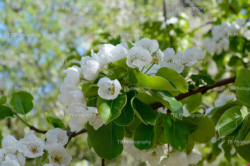 Tierpark 20.04.25-114 | TS Photography - Realisiert mit Pictrs.com