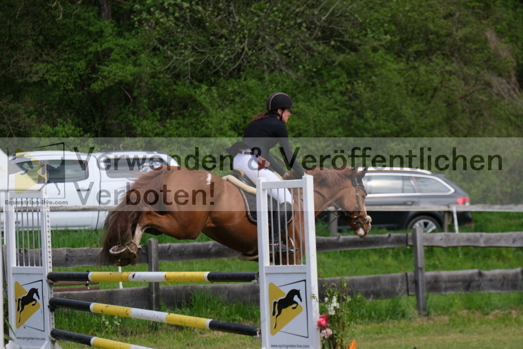 DSCF8167 | equestrian-live-com