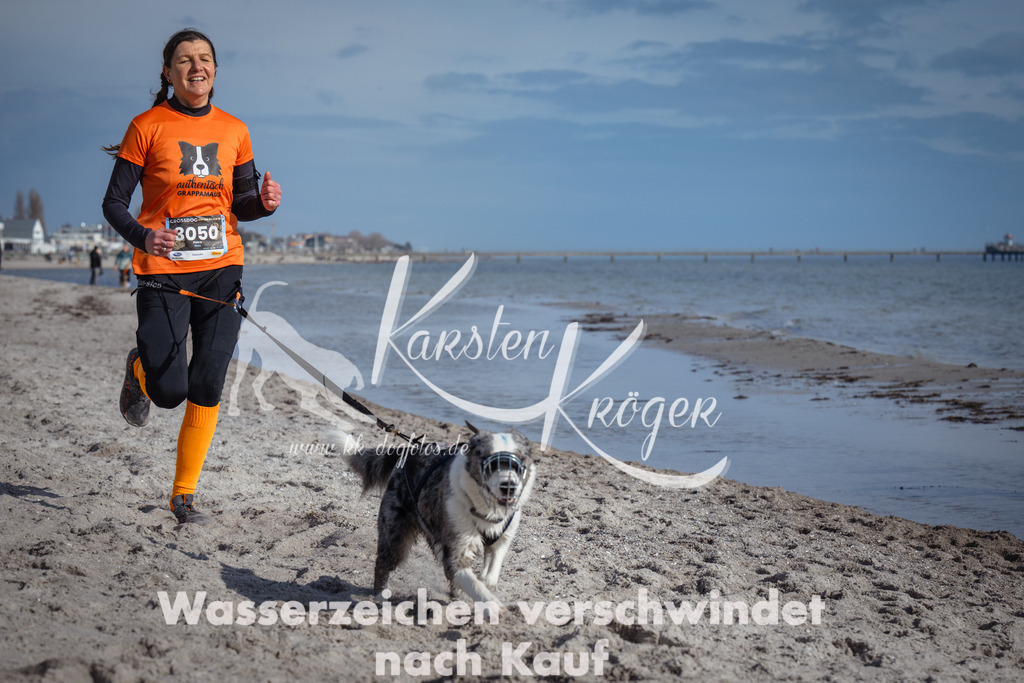 1246_ZZ98690 | kk-dogfotos