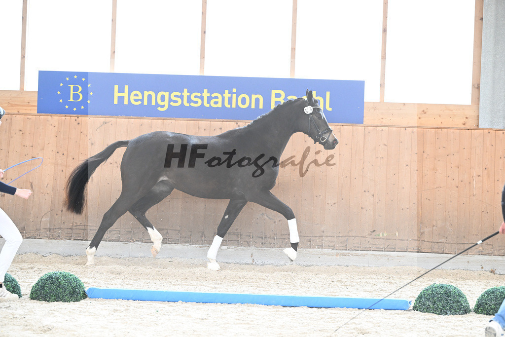 Kat-Nr. 79 nn v. Freiherr v. Stein_Wezel_7241261 | hf-fotografie - Realisiert mit Pictrs.com