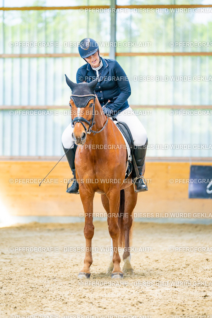 DSC07573 | Pferdegrafie