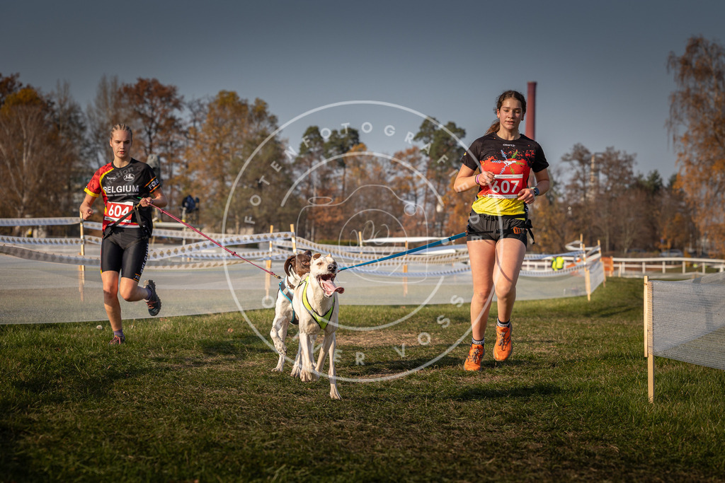 CaniXpix_0L8A0103 | Hundefotografie, Tierfotograf, Pfotenfotografie, Fotoshooting Hund, Hunde Portrait, Hundesport, Hundeportraits, Heideshooting, Hunde, Sportfotograf, Hundefotograf, Turnierhundsport, THS,  - Realisiert mit Pictrs.com