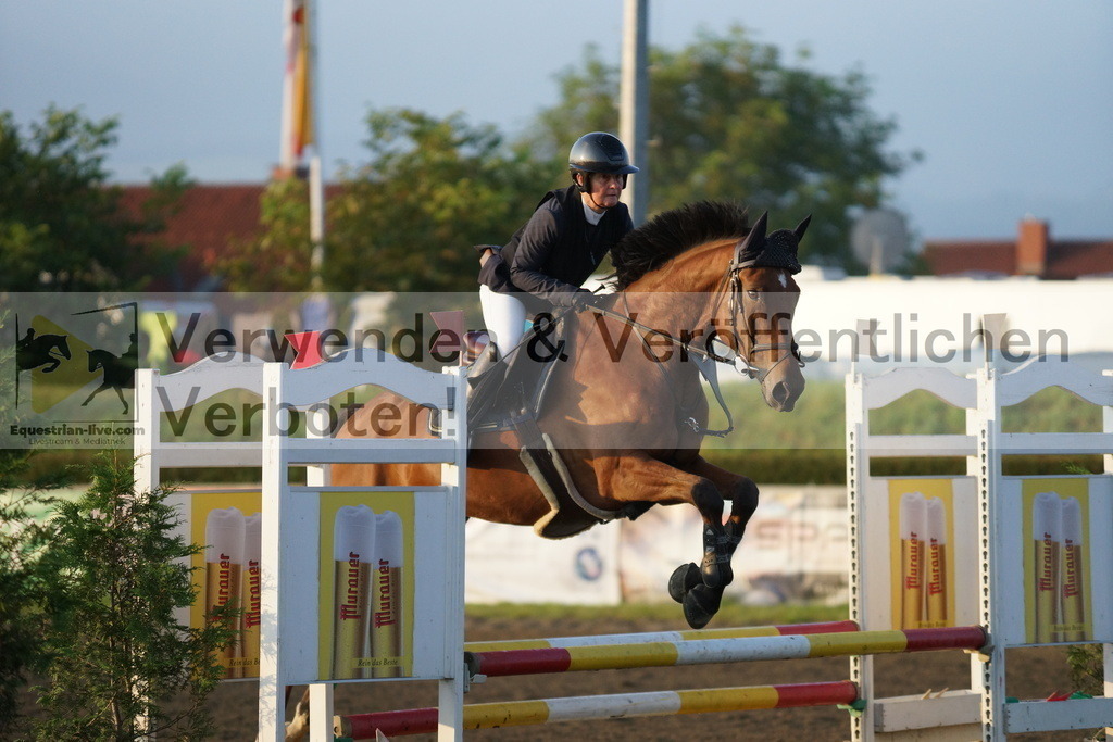 DSC02563 | equestrian-live-com
