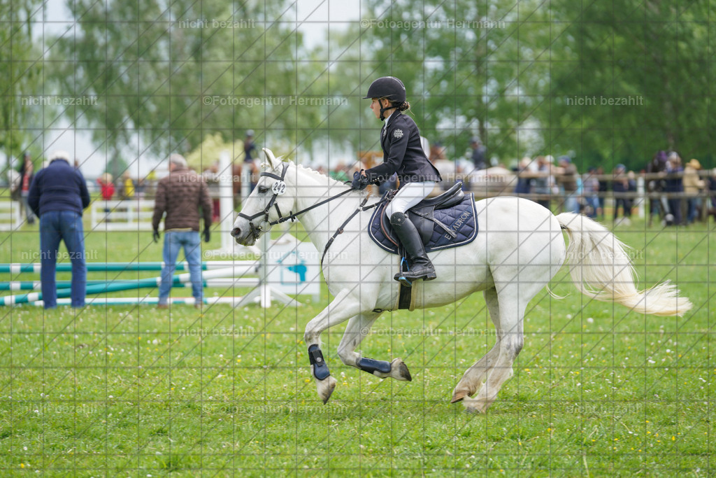 20240509-FAH02485 | Turnierbilder der Turnierfotografen Bayern, Pferdesport Fotografie, Reitsportbilder, Turnier Landberg am Lech, Turnierbilder bayern, Fotoagentur Herrmann