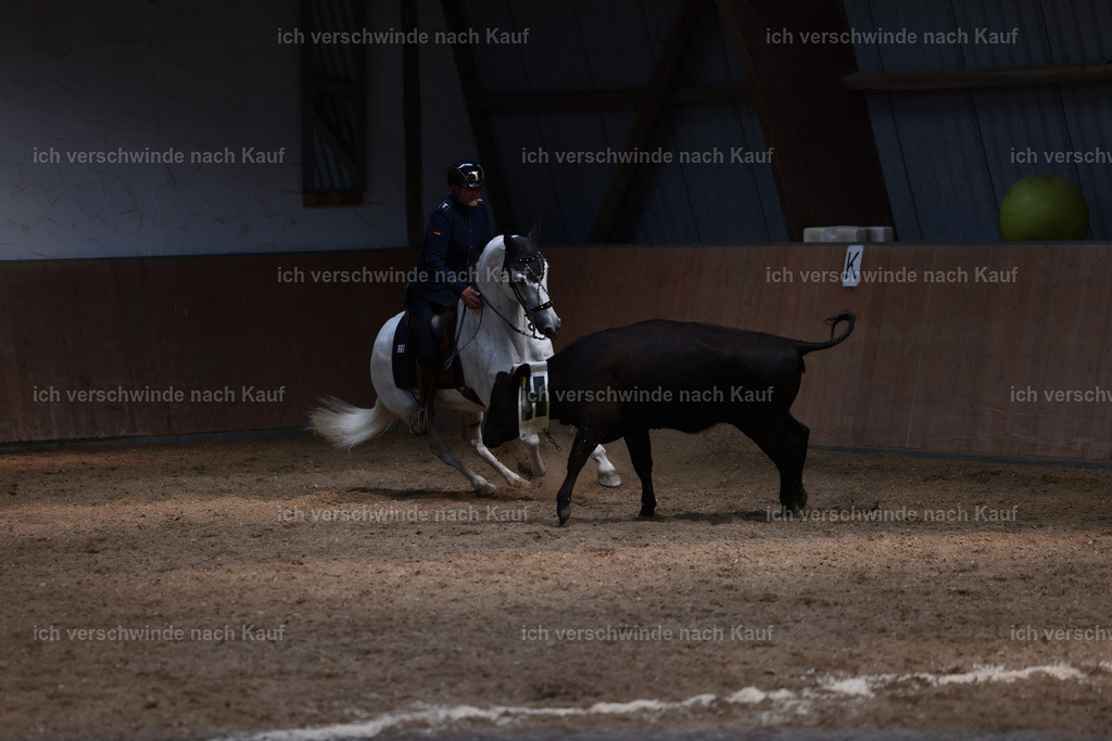 Masterclass_stoibphotography_C2_L7448.JPG | working equitationturnier fotograf videograf stoibphotography marixx film working equitation deutschland reitsport turnierfotografie eventfotografie equestrian events