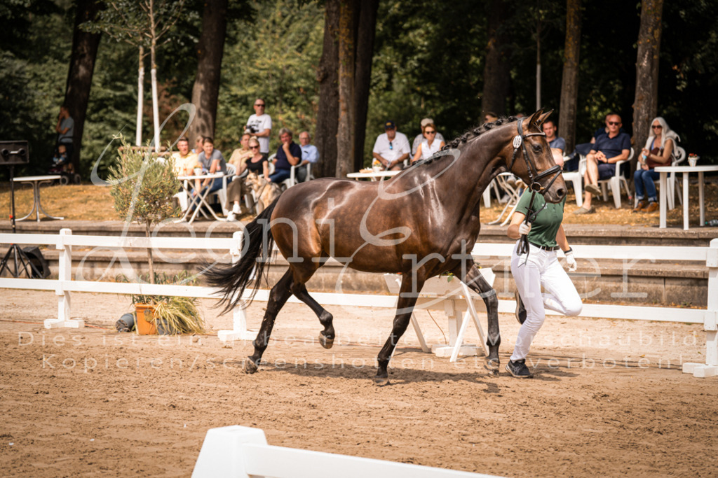 3.Fr00015 | Leoni Ertmer Photography - Realisiert mit Pictrs.com