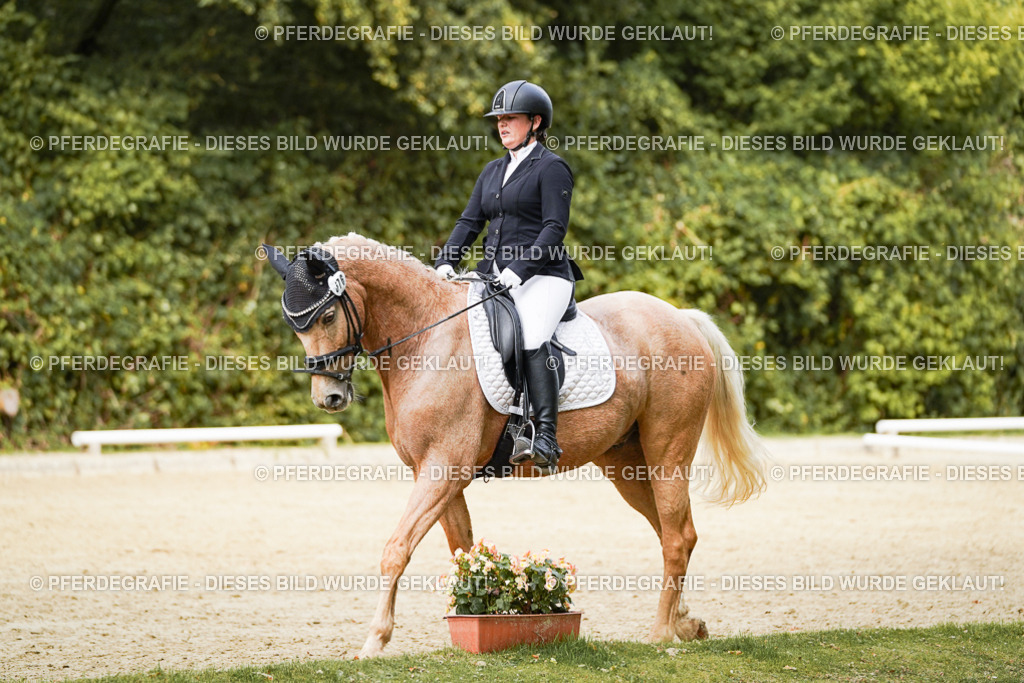 DSC03080 | Pferdegrafie