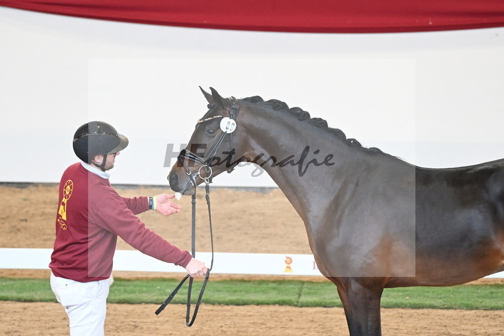 Kat.-Nr. 89 v. Vivaldon_Beckmann_2250841 | hf-fotografie - Realisiert mit Pictrs.com