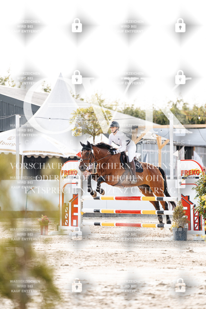 CK906645 | Turnierfotografie Pferdefotografie Trier Rheinland-Pfalz Pferdesport Reitsport Tierfotografie Sportfotografie Pferdevideo Pferdevideografie Equestrianvideography equestrianphotography  - Realisiert mit Pictrs.com