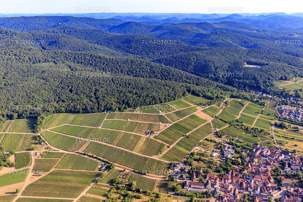 Probierstände im Weinberg für "Grenzenlos Wein". Deutsch-französische Weinevent mit Weinen unserer Winzer und des benachbarten Elsas sowie lulinarischen Köstlichkeiten hoch über dem Ort mit einem herrlichen Blick über die Rheinebene und ins  | Luftbild: Probierstände im Weinberg für "Grenzenlos Wein". Deutsch-französische Weinevent mit Weinen unserer Winzer und des benachbarten Elsas sowie lulinarischen Köstlichkeiten hoch über dem Ort mit einem herrlichen Blick über die Rheinebene und ins benachbarte Wissembourg https://grenzenloswein.de/ im Ortsteil Schweigen in Schweigen-Rechtenbach im Bundesland Rheinland-Pfalz in Deutschland. Foto: IMG_149364.jpg vom 05.07.2025 durch Werner Riehm/FLY-FOTO.de - Realisiert mit Pictrs.com