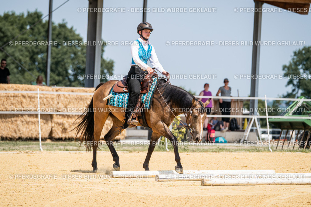 DSC01019 | Pferdegrafie