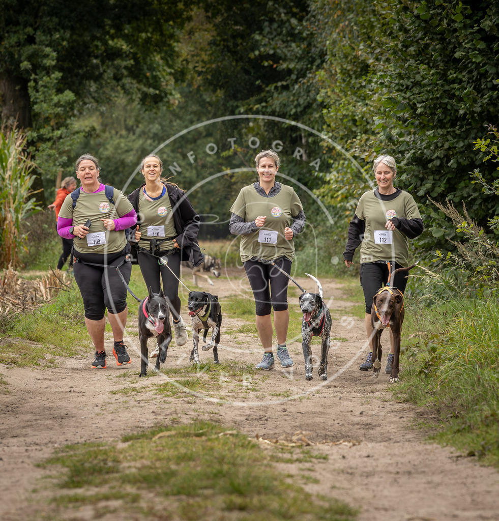 Pfotenfotografie_DV3A6813 | Hundefotografie, Tierfotograf, Pfotenfotografie, Fotoshooting Hund, Hunde Portrait, Hundesport, Hundeportraits, Heideshooting, Hunde, Sportfotograf, Hundefotograf, Turnierhundsport, THS,  - Realisiert mit Pictrs.com