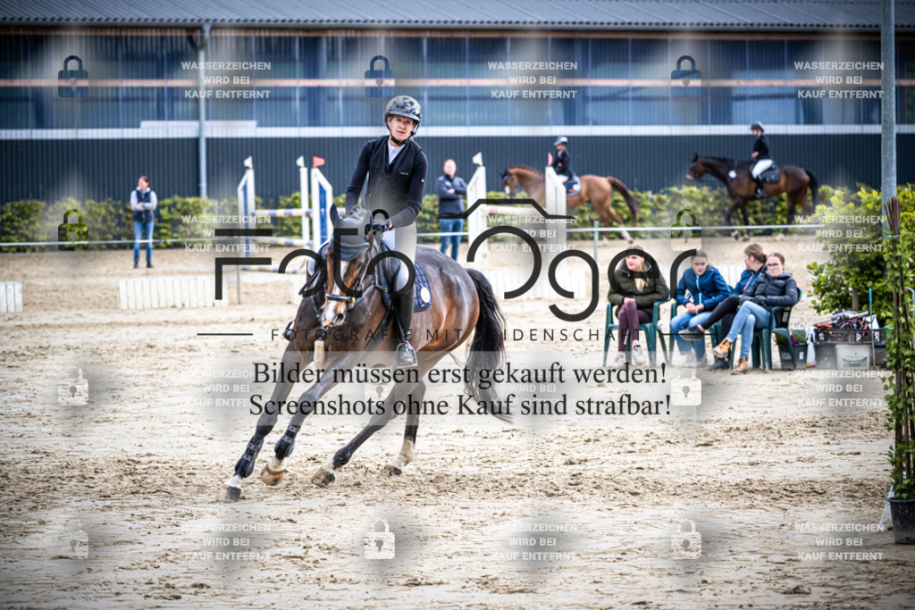 DOS_2480 | Reitturnier Lüdinghausen - Realisiert mit Pictrs.com