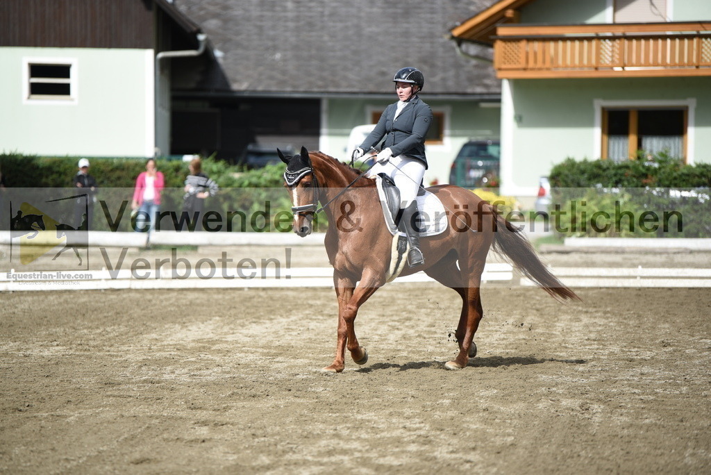 DSC_4947 | equestrian-live-com