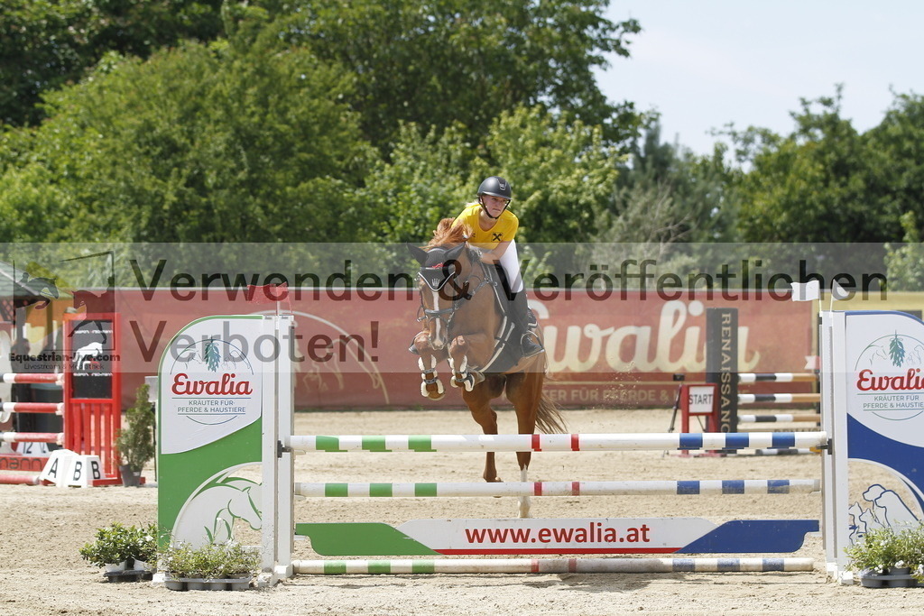 _MG_5581 | equestrian-live-com
