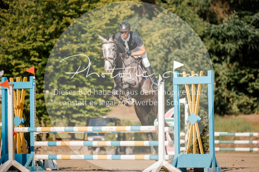 3I6A6312 | Stimmungsvolle Portraits und Reitsportfotografie im Ruhrgebiet und im Münsterland.

Pferdefotografie, Hundefotografie, Tierfotografie, Reportagen, Portraits von Tier und Mensch, Turnierfotografie in Bochum, Recklinghausen, Marl, Haltern am See, Dülmen.. - Realisiert mit Pictrs.com