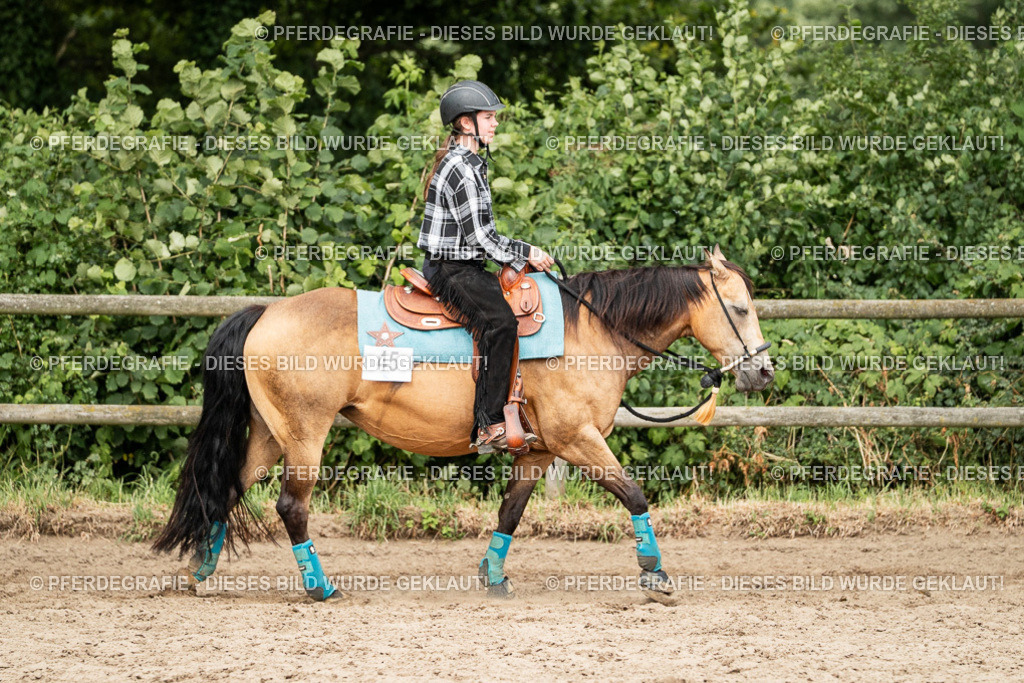 DSC03995 | Pferdegrafie