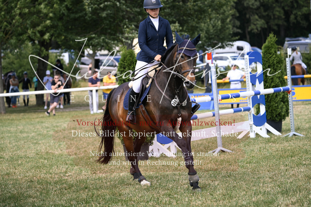 DSC_0590 | Pferde- und Turnierfotografie in Westsachsen. Pferdeportraits, Auftragszeichnungen und intuitive Kunst.