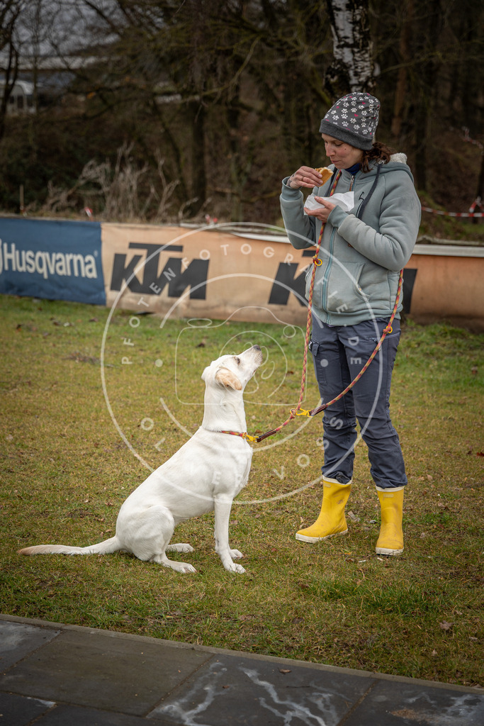 0L8A9066 | Hundefotografie, Tierfotograf, Pfotenfotografie, Fotoshooting Hund, Hunde Portrait, Hundesport, Hundeportraits, Heideshooting, Hunde, Sportfotograf, Hundefotograf, Turnierhundsport, THS,  - Realisiert mit Pictrs.com