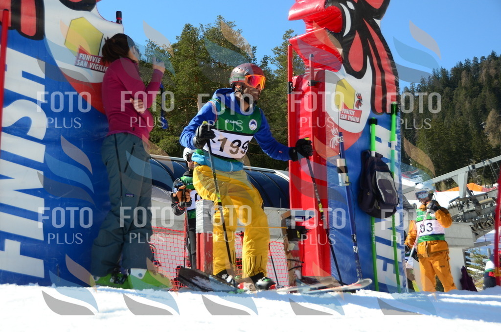 C6600 | holidayphoto