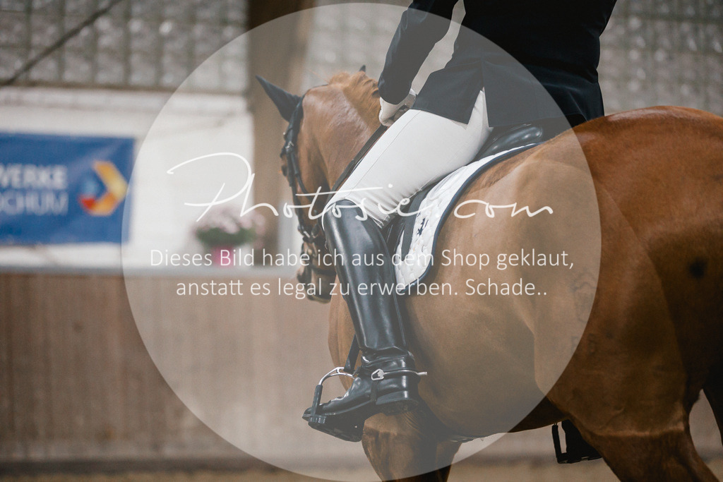 3I6A5875 | Stimmungsvolle Portraits und Reitsportfotografie im Ruhrgebiet und im Münsterland.

Pferdefotografie, Hundefotografie, Tierfotografie, Reportagen, Portraits von Tier und Mensch, Turnierfotografie in Bochum, Recklinghausen, Marl, Haltern am See, Dülmen.. - Realisiert mit Pictrs.com