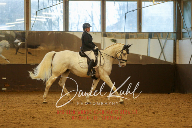 IMG_8128 | Turniersportfotografie; Pferdefotografie; Dressurfotografie