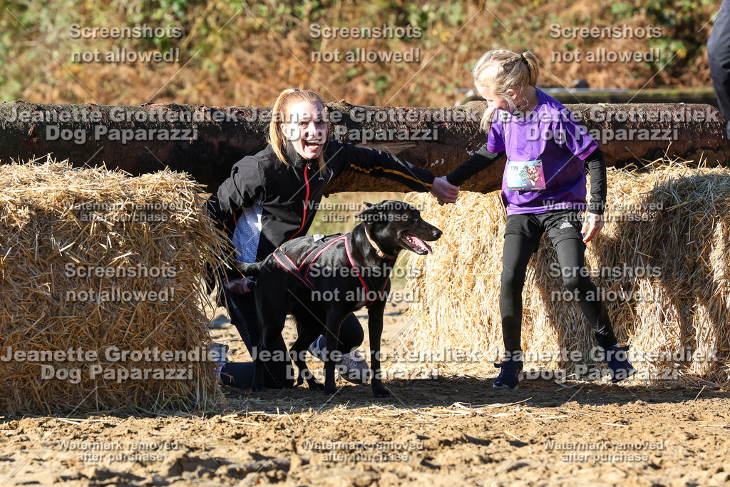 Dog Paparazzi - Strongdog 10-25-1546 | Dog Paparazzi Jeanette Grottendiek Fotografie & Videografie - Realisiert mit Pictrs.com