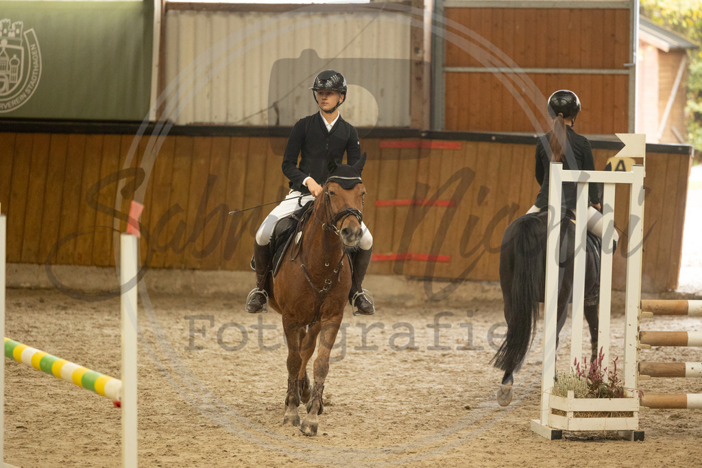 994A6158 | sabrinanicolaifotografie - Realisiert mit Pictrs.com