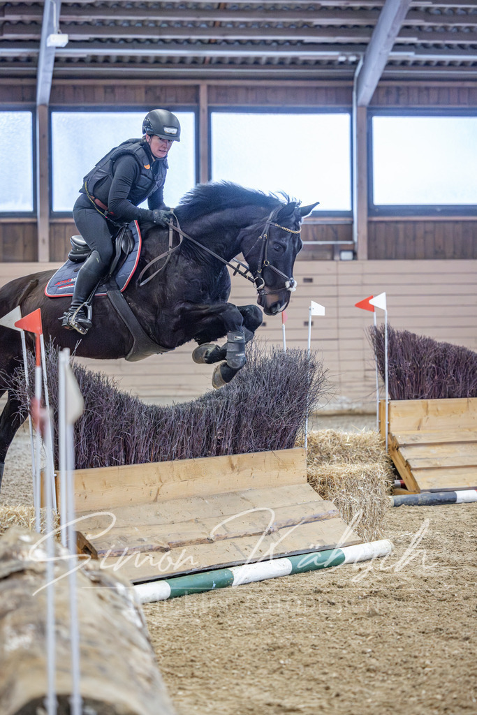 20260221-_3LI8545 | Tierfotografie Pferde, Hunde, Katzen, Haustiere.
Turnierfotografie Reitturniere, Reiten, Springreiten, Dressur in Hanau, dem Main-Kinzig-Kreis und dem Rhein-Main- Gebiet um Frankfurt