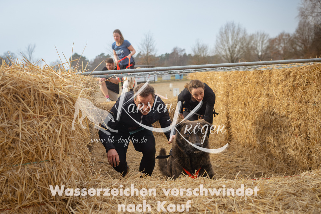1017_ZZ93605 | kk-dogfotos