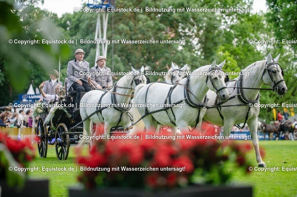 20250606_Lange-Pferdenacht_0166 | Foto: Thomas Hartig