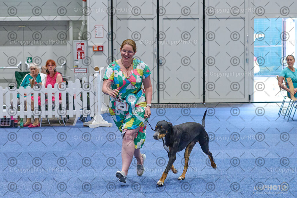 202406_ÖKV-IHA-Tulln24_DSC_3098 | proPHOTO - Realisiert mit Pictrs.com