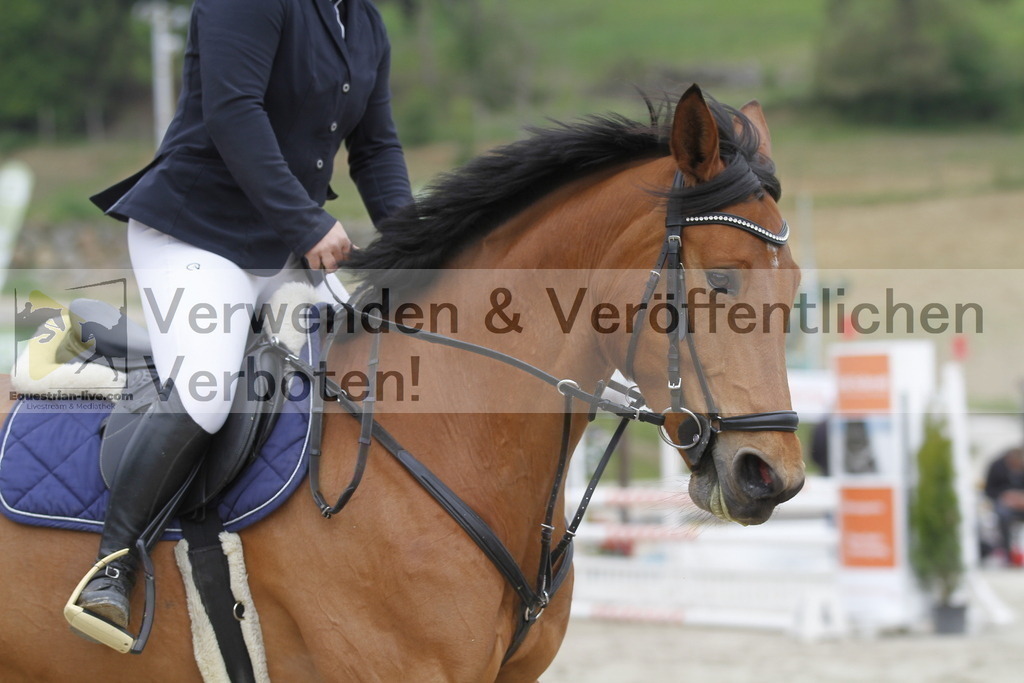 _MG_1012 | equestrian-live-com