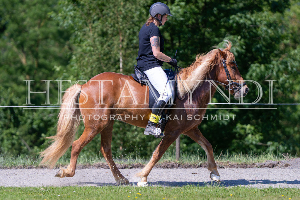 KAI05873 | Ihr sucht einen Fotografen für eure nächste OSI? Ich begleite auch euer Turnier für Islandpferde fotografisch.  - Realisiert mit Pictrs.com