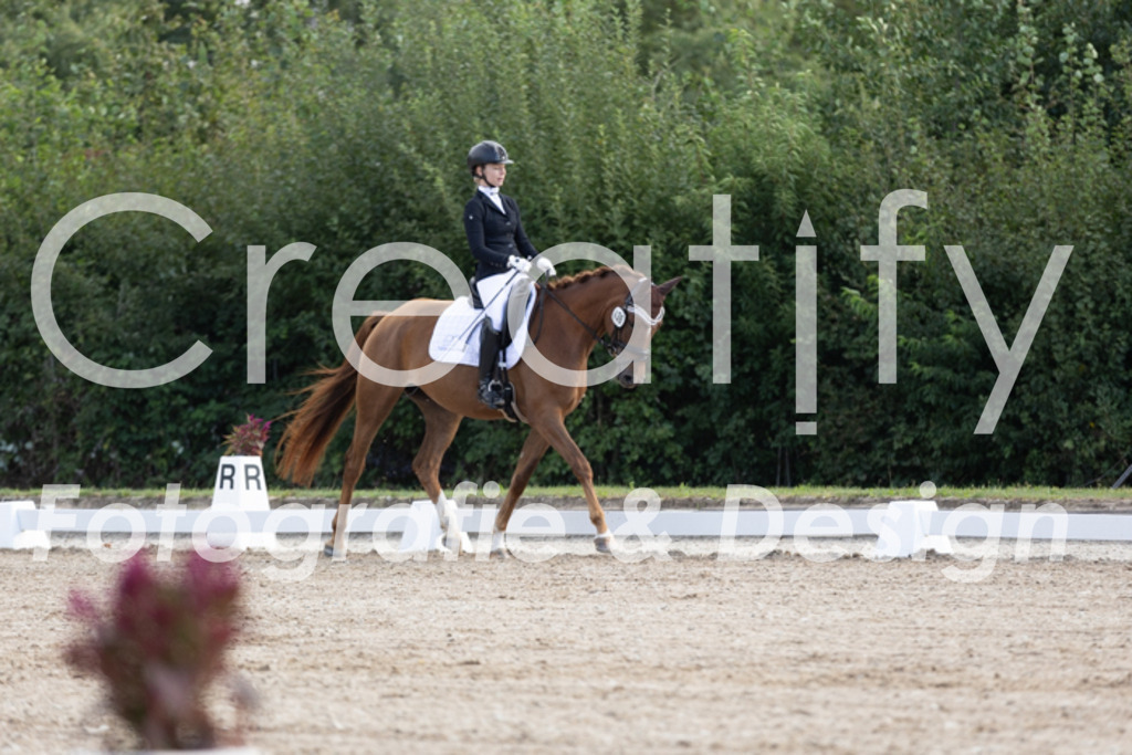 IMG_9854 | Creatify Fotografie