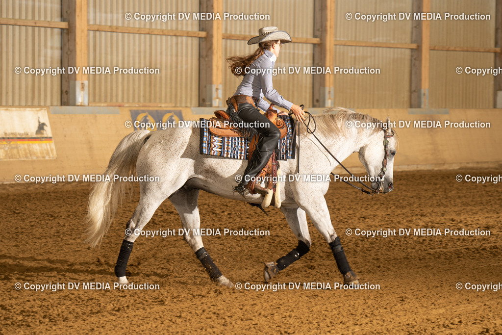 LAU00230 | dv-media-shop - Realisiert mit Pictrs.com