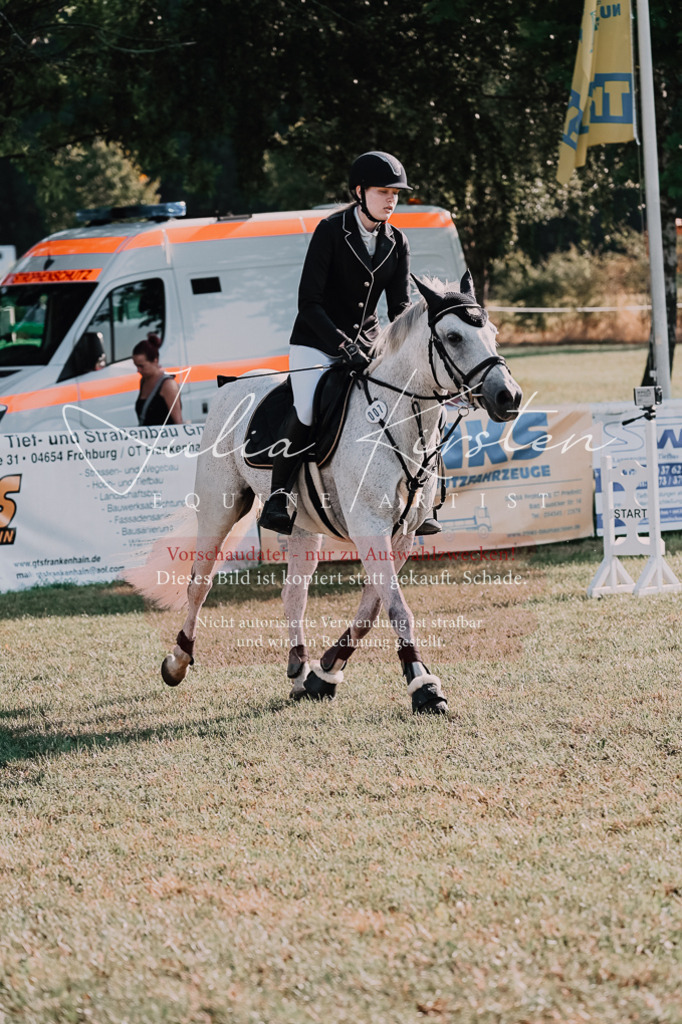 DSC_4447 | Pferde- und Turnierfotografie in Westsachsen. Pferdeportraits, Auftragszeichnungen und intuitive Kunst.