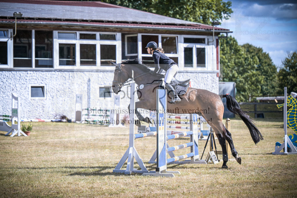 DOS_0801 | Entdecke hochwertige Reitturnierfotos von Foto Oger. Professionell, emotional und authentisch – jetzt Lieblingsmomente im Shop bestellen.Deutschlandweite Turnierfotografie. - Realisiert mit Pictrs.com
