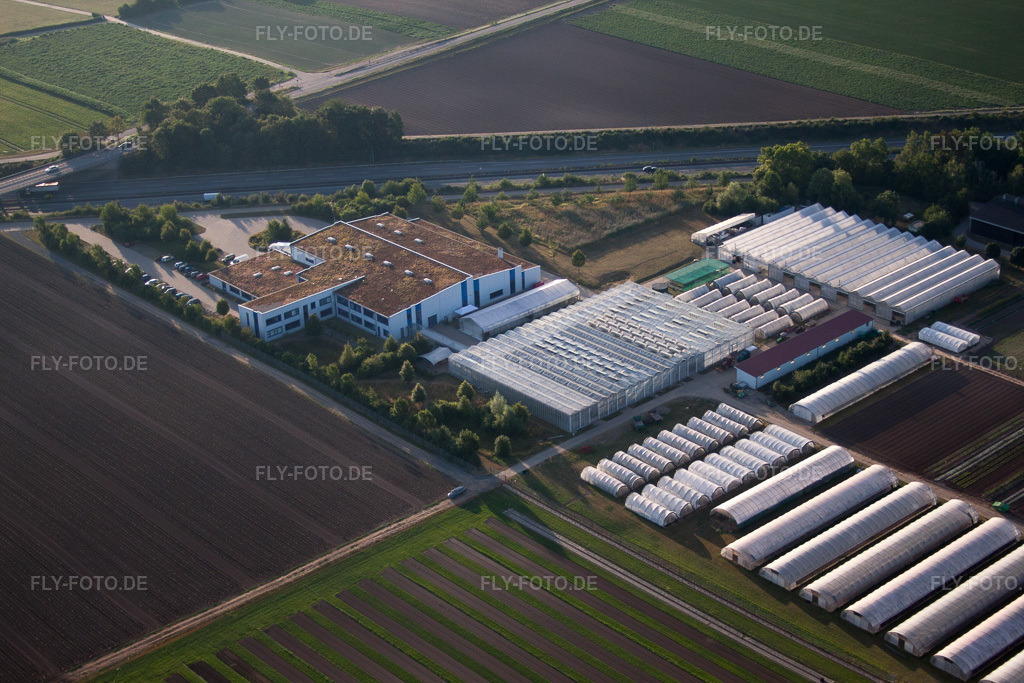 Luftbild: Enza Zaden Deutschland GmbH im Ortsteil Dannstadt in Dannstadt-Schauernheim im Bundesland Rheinland-Pfalz in Deutschland.Foto: IMG_69563.jpg vom 04.07.2014 durch Werner Riehm/FLY-FOTO.deAuflösung des Originals: 4752 x 3168 px