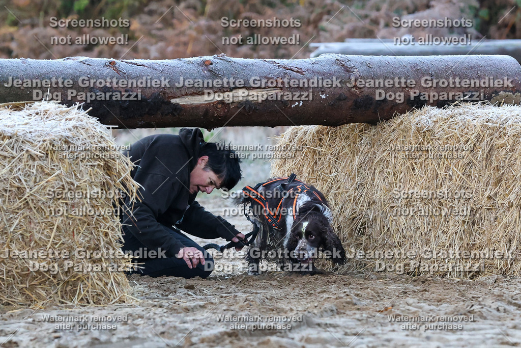 Dog Paparazzi - Strongdog 10-25-148 | Dog Paparazzi Jeanette Grottendiek Fotografie & Videografie - Realisiert mit Pictrs.com