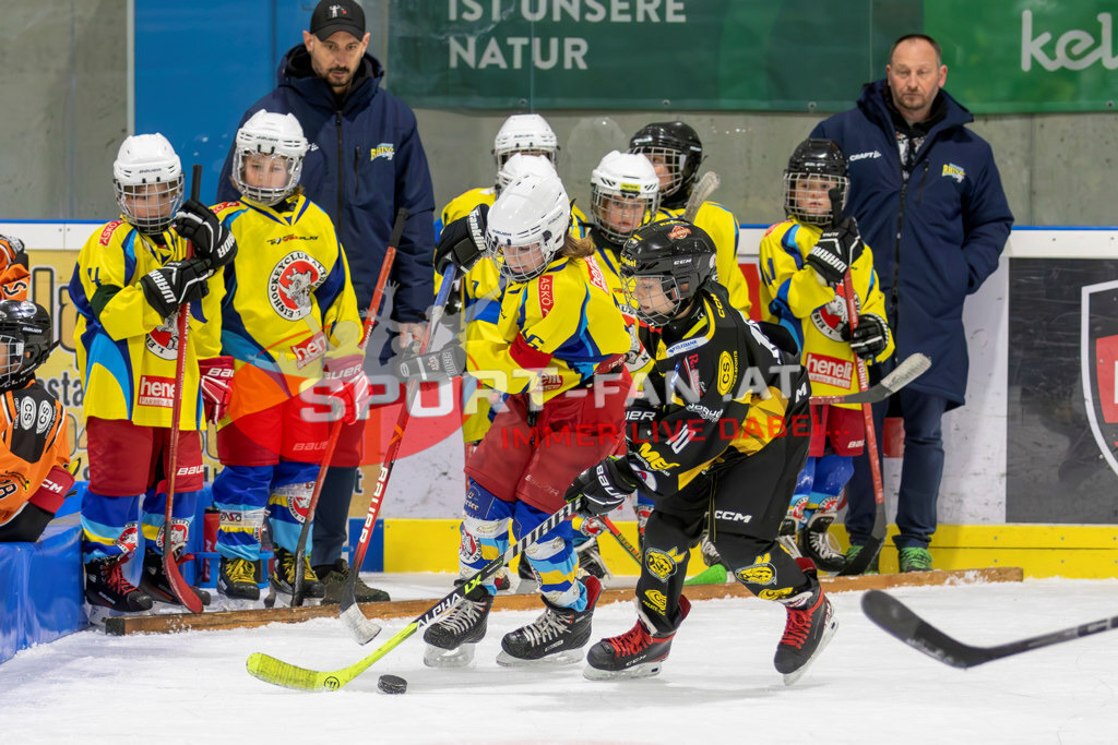 Eishockey | Eishockey, KEHV U10 Abschlussturnier am 17.03.2024 in Ferlach (HTC Eissporthalle), Austria, (Photo by Ernst Krawagner sport-fan.at) - Realisiert mit Pictrs.com