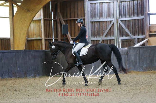 IMG_0121 | Turniersportfotografie; Pferdefotografie; Dressurfotografie