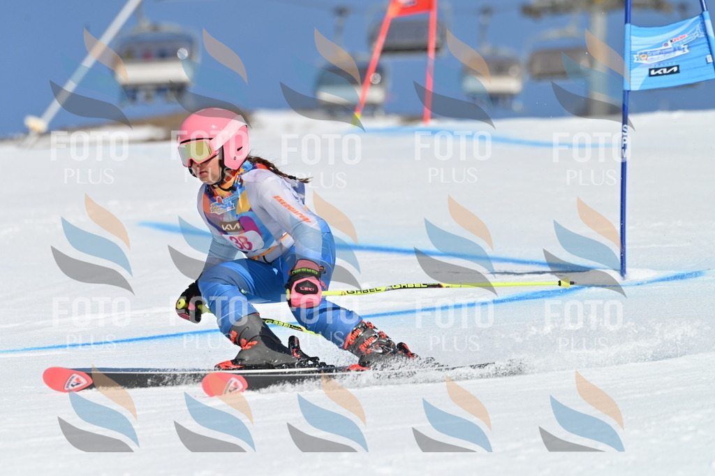 BGV_8318 | holidayphoto