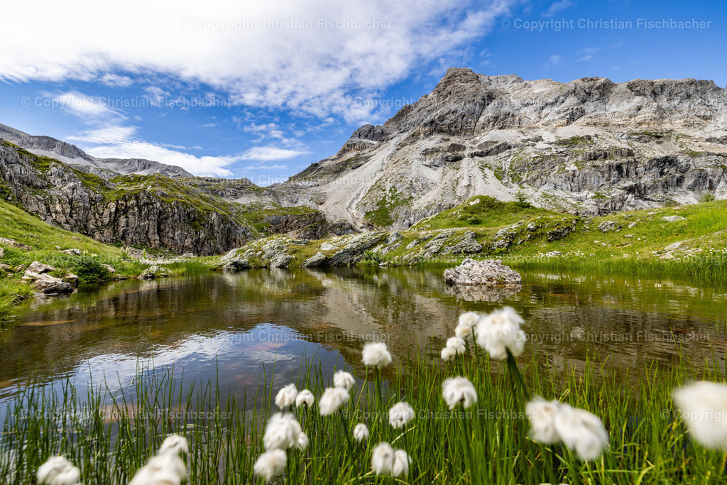 Fotos_Copyright_Chri_Fischbacher_Druck-466 | Bildershop Chri Fischbacher - Realisiert mit Pictrs.com