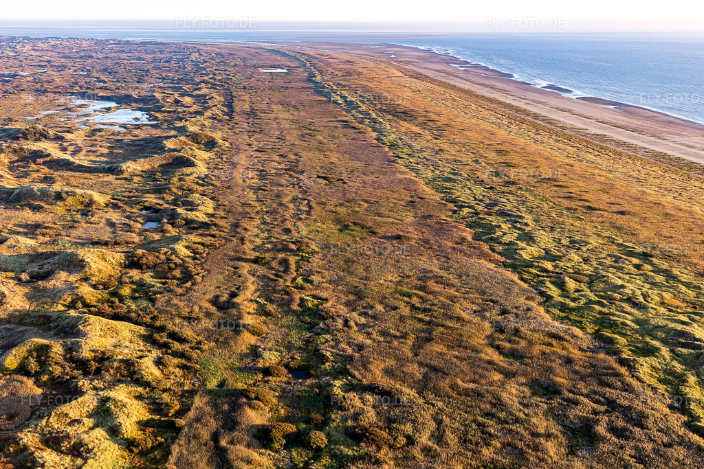 Luftbild: Nationalpark Wattenmeer in Fanø im Bundesland Syddanmark in Dänemark. Foto: IMG_118959.jpg vom 21.09.2019 durch Werner Riehm/FLY-FOTO.de