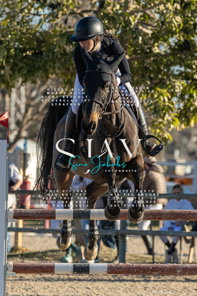 IMG_2407 | s-jay-photography - Realisiert mit Pictrs.com