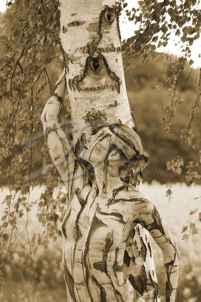 NatureArt-RAPSBIRKEN_5223f | Birkenmuster in Sepia | #007 | Modell: Anastasia | Foto: Andreas Meier - Realisiert mit Pictrs.com