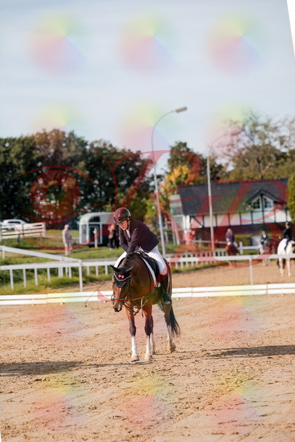 2026_10_03_Siefer-Hof_115827_Z63_31635419 | Professionelle Reitsport-, Turnier- und Eventfotografie von Robert Broda. Galerien mit ausgewählten und bearbeiteten Bildern direkt online ansehen und bestellen.